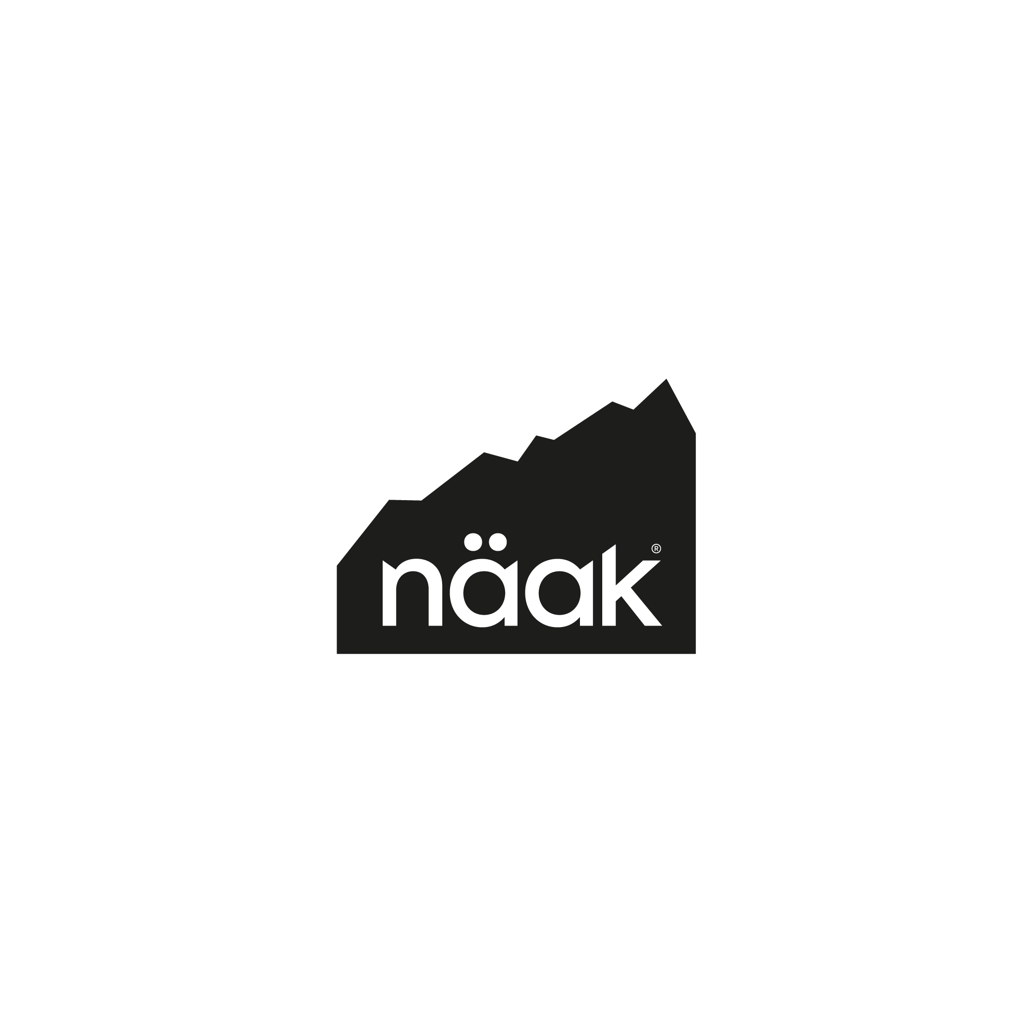 logo naak